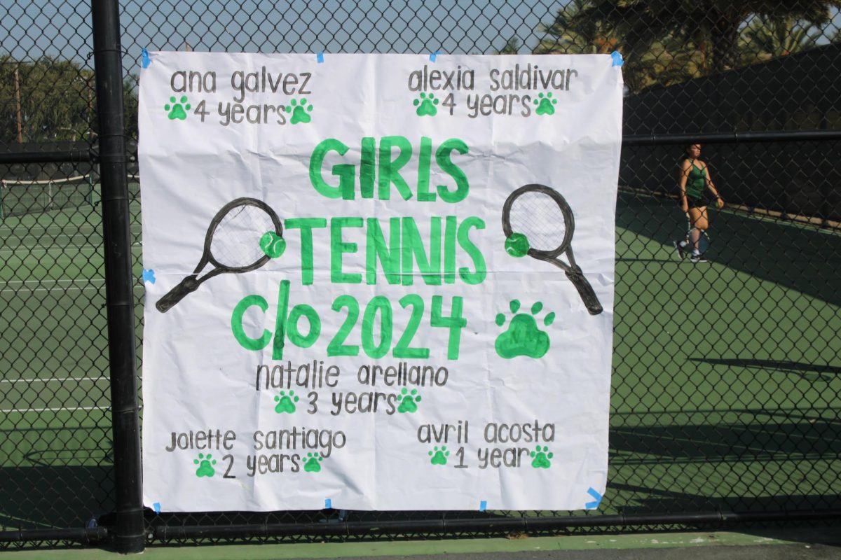 Seniors Tennis team Poster
