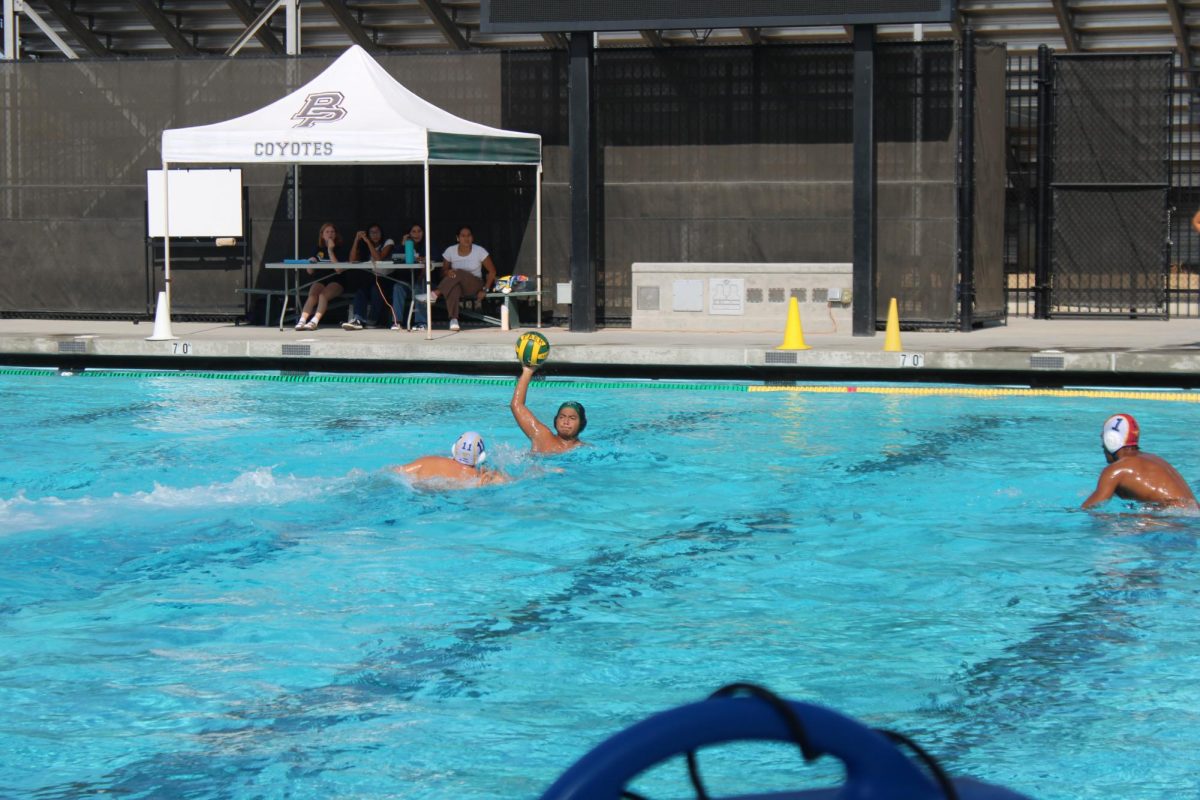 Devastating Loss For Boys Water Polo