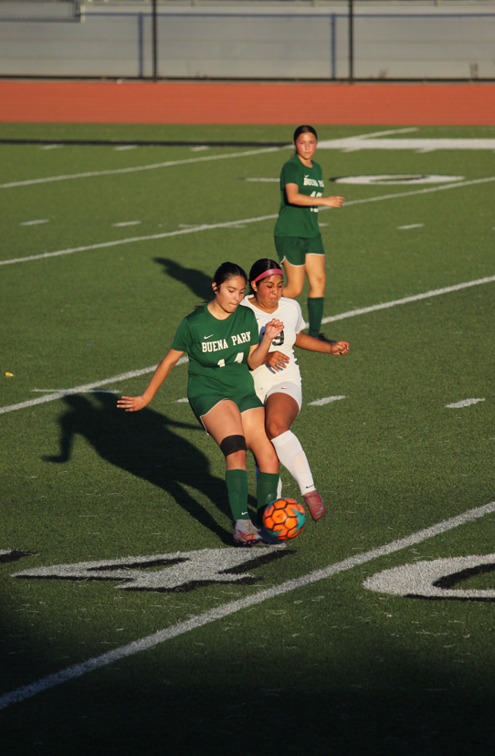 BPHS Girls’ JV Soccer Showcased Strong Defense on Senior Night But Falls 1-0 to Godinez