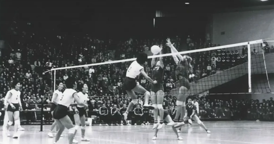 Let's Learn About Volleyball!